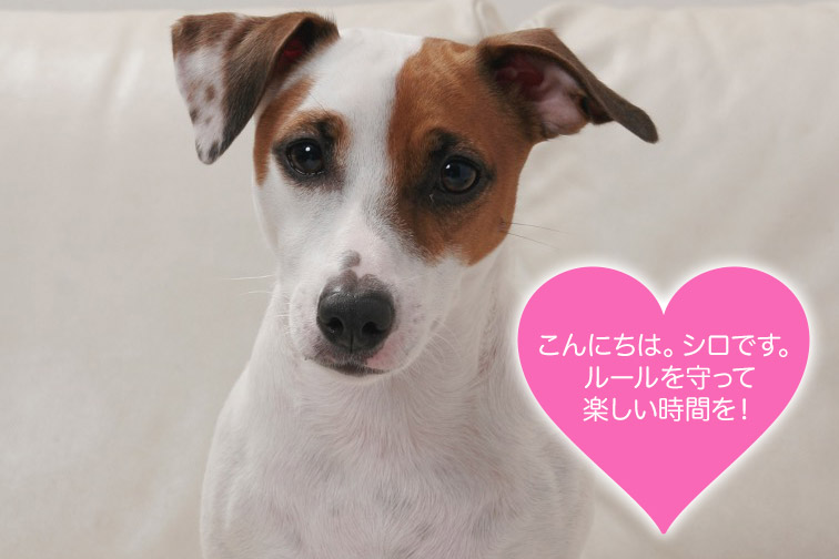 ルールを守って楽しい時間を!